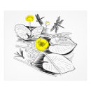 Suche nach wasser blume poster Blühen