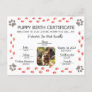 Suche nach welpen liebe postkarten Dogs