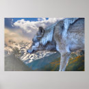 Suche nach lone wolf poster Grauwolf