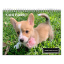 Suche nach welpen kalender Hundefreund