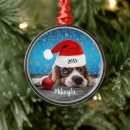 Suche nach cocker spaniel ornamente Lustig