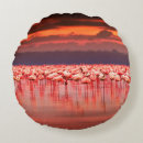 Suche nach sonne kissen Tier