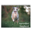 Suche nach australisch kalender Welpe