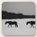 Suche nach mais untersetzer Pferde