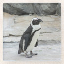 Suche nach pinguine untersetzer Schwarz