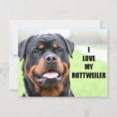 Suche nach rottweiler postkarten Rottich