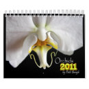 Suche nach orchidee kalender Blüte