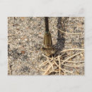 Suche nach feucht poster Wild