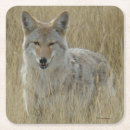 Suche nach canis untersetzer Natur