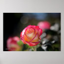 Suche nach doppeltes poster Blumen