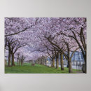 Suche nach willamette Park
