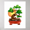 Suche nach bonsai geschenke Sonne