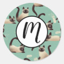 Suche nach siamesisch aufkleber Siamesische katzen