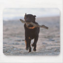 Suche nach vitalität mousepads Horizontal