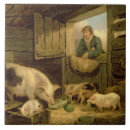 Suche nach schwein fliesen Tier