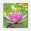 Suche nach auf dem wasser magnete Wasserlilien