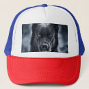 Suche nach schwarze schafe kappen Hund