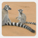 Suche nach madagaskar aufkleber Insel