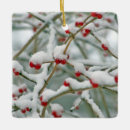 Suche nach nackt ornamente Schnee