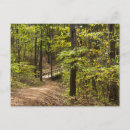 Suche nach runge postkarten Natur