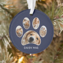 Suche nach hundekuchen ornamente Für haustiere