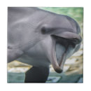 Suche nach delphine fliesen Natur