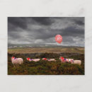 Suche nach jahr der schafe postkarten Glückliches neues jahr