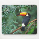 Suche nach toucan mousepads Tropisch