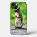 Suche nach eichhörnchen iphone hüllen Tierfreunde