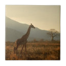 Suche nach savannen fliesen Giraffen