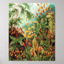 Suche nach wissenschaftliche illustration poster Zeichnend