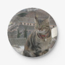 Suche nach cats teller Für sie