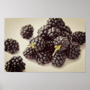 Suche nach blackberry poster Obst