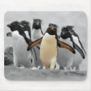 Suche nach pinguine mousepads Vögel