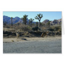 Suche nach kojote postkarten Amerikanisch