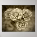Suche nach vintage flower poster Roses