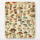 Suche nach pilz mousepads Toadstool