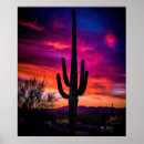 Suche nach saguaro cactus poster Sunset