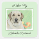 Suche nach gelbes labrador retriever aufkleber Welpe