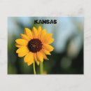 Suche nach sunflower postkarten Gelb