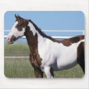 Suche nach malen sie pferde mousepads Stehend
