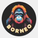 Suche nach borneo aufkleber Tiere