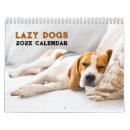 Suche nach lustige hunde kalender Lustiger hundekalender