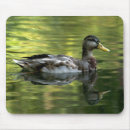 Suche nach hühner mousepads Vogel