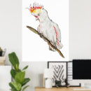 Suche nach papagei poster Aquarell