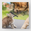 Suche nach bilder der katzen wanduhren Niedlich