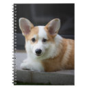 Suche nach corgi kleine notizbücher Königin elizabeth's