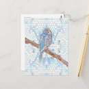 Suche nach budgie postkarten Niedlich