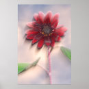 Suche nach hybrider poster Botanisch