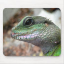 Suche nach wasserdrache Tiere